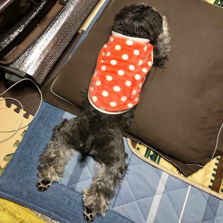 8756049a 8b8c 4e86 8cfe 4a10a6186dc0 1705585215880