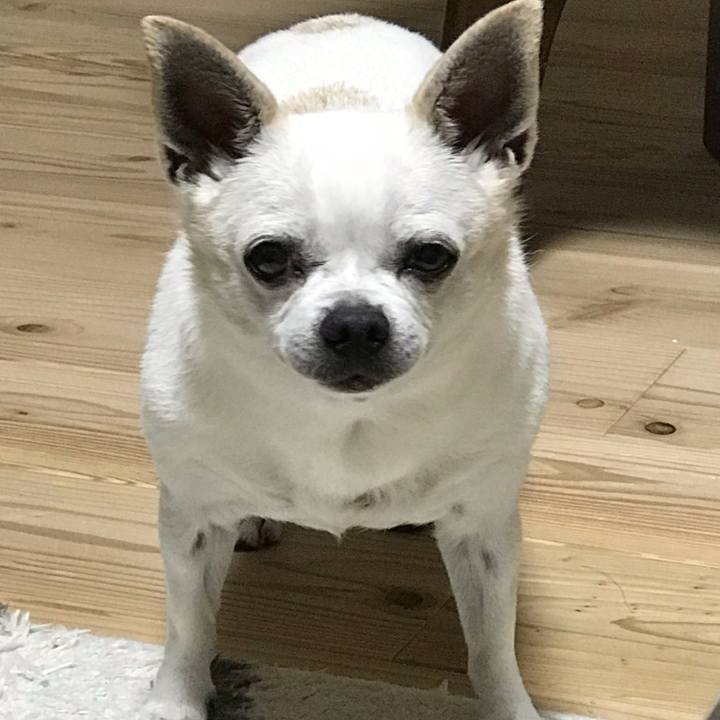 8756903b 9bda 4c53 8d71 811771593342 1643678891005