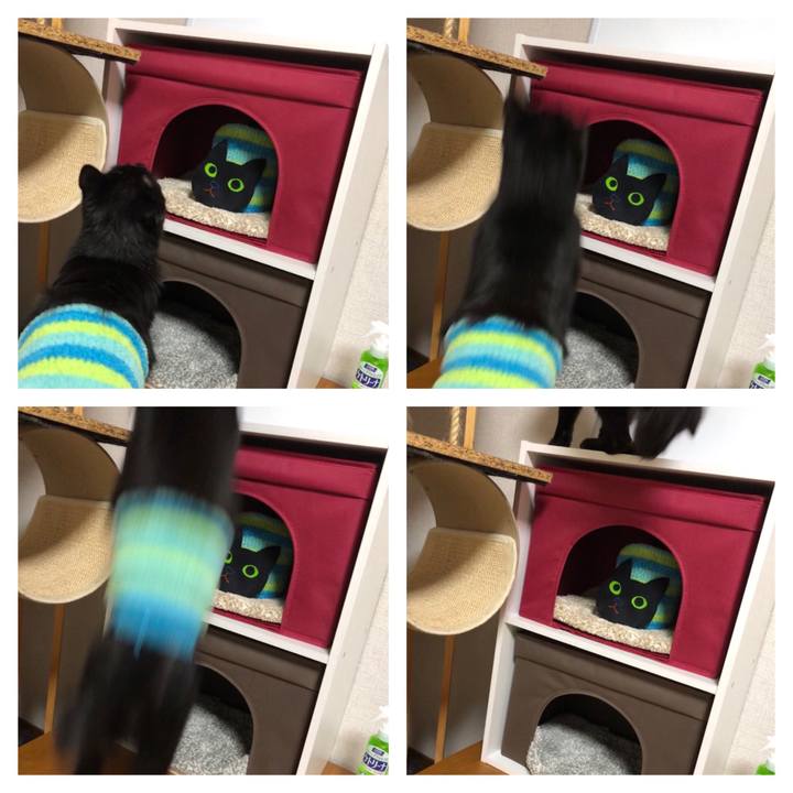 87569206 c0e3 4784 ac40 eb0338277889 1582981678986