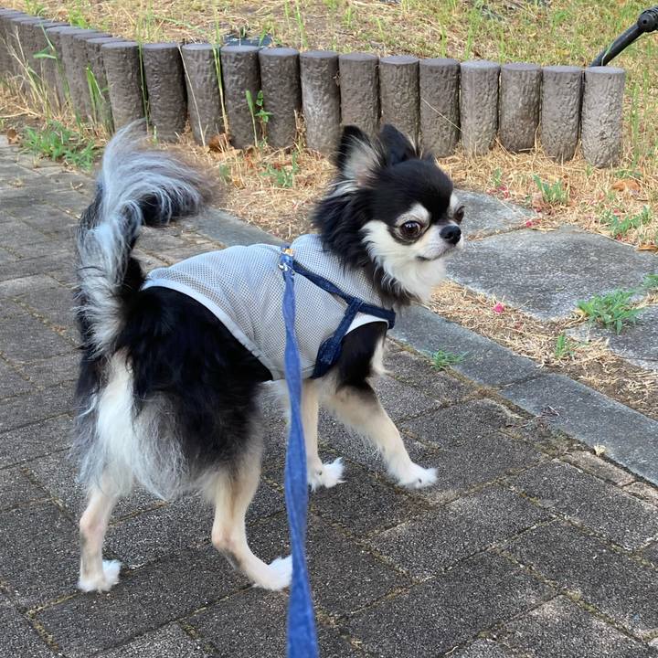 87569923 9afa 41ab 8985 f8c424c8bae6 1691332666023