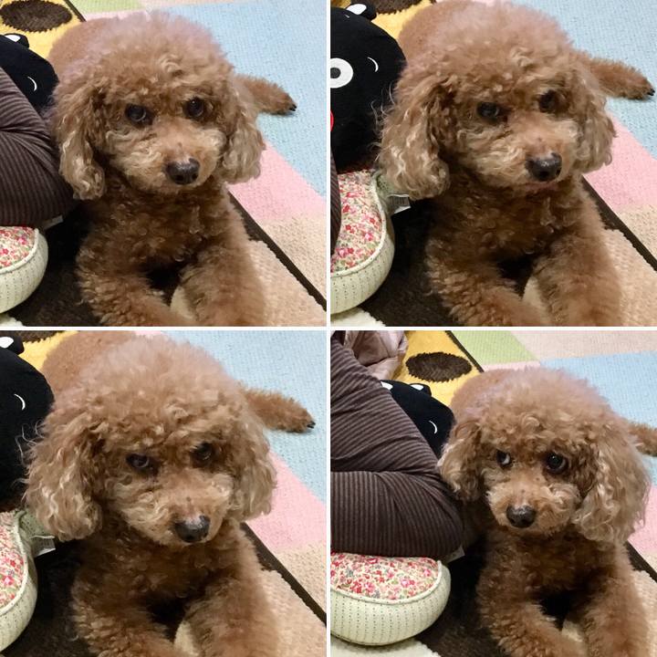 8756a573 adfd 4419 9006 630bdac3199c 1541506661523