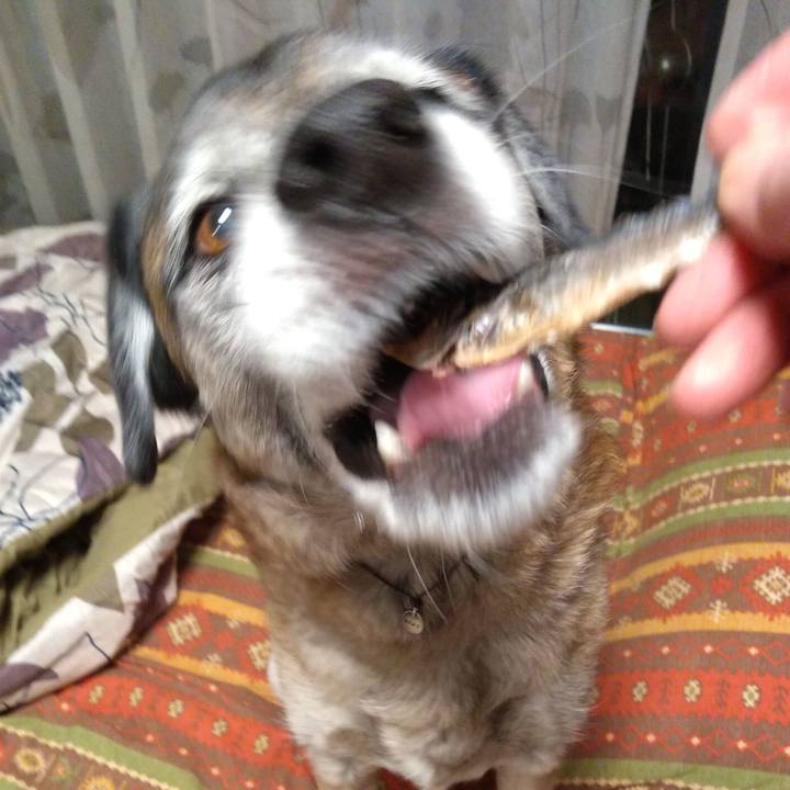 8756a5e9 d9c6 4ce0 b684 959cd1bd5e5c 1548753981063