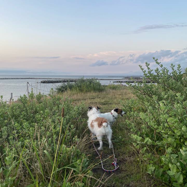 8756f2e8 cb4e 4269 8277 a1f817a84900 1750979073397