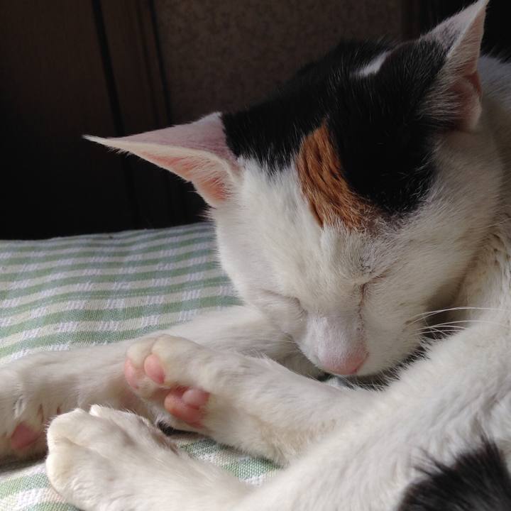 87570745 adbd 4cc4 9805 75c055fcaa7f 1538396740799