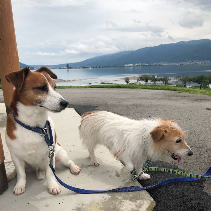 87570fa3 d9da 4cf9 8fbf 6c0fbbeda067 1604902891457