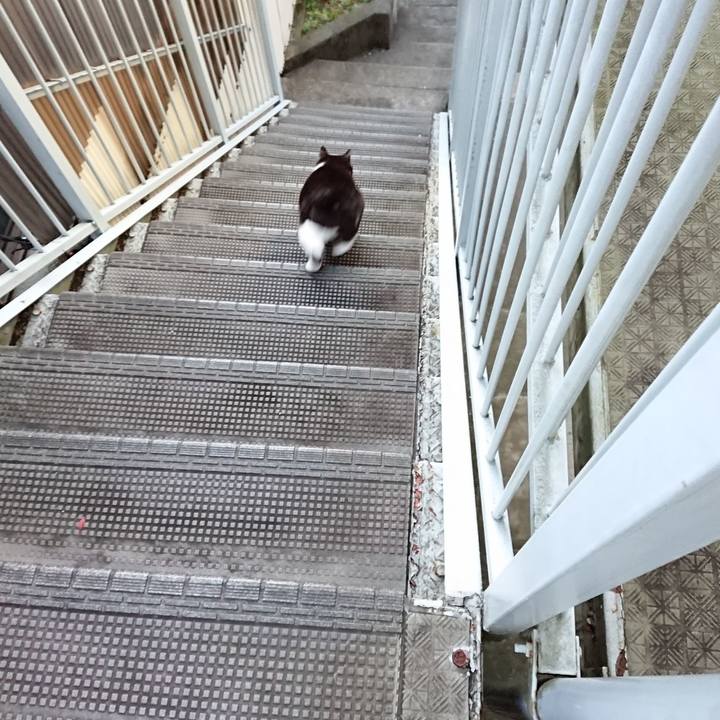 875761a7 8bb3 4d54 8796 2721a9a5dca9 1607679079633