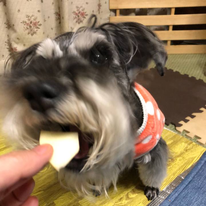 875766a7 22c8 4299 924f 7ee1d2e7cc1d 1682260386606