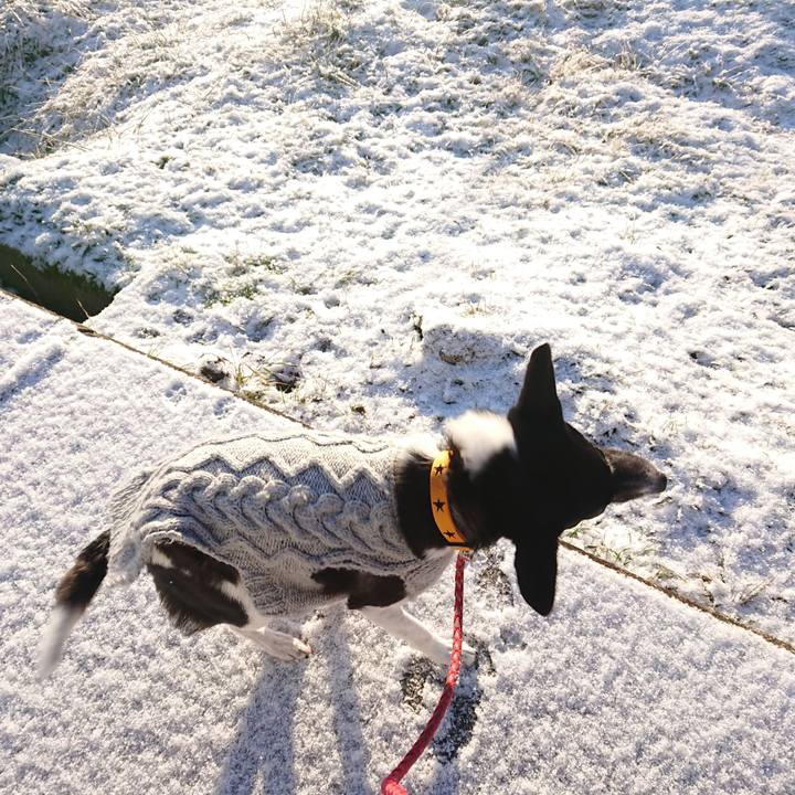 87578ef4 17ff 4744 b60f 6c7fbc9ac5f9 1644355629351