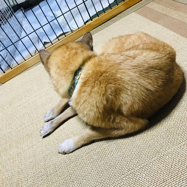 8757a643 7189 4394 8da3 006af85788a8 1552576301175