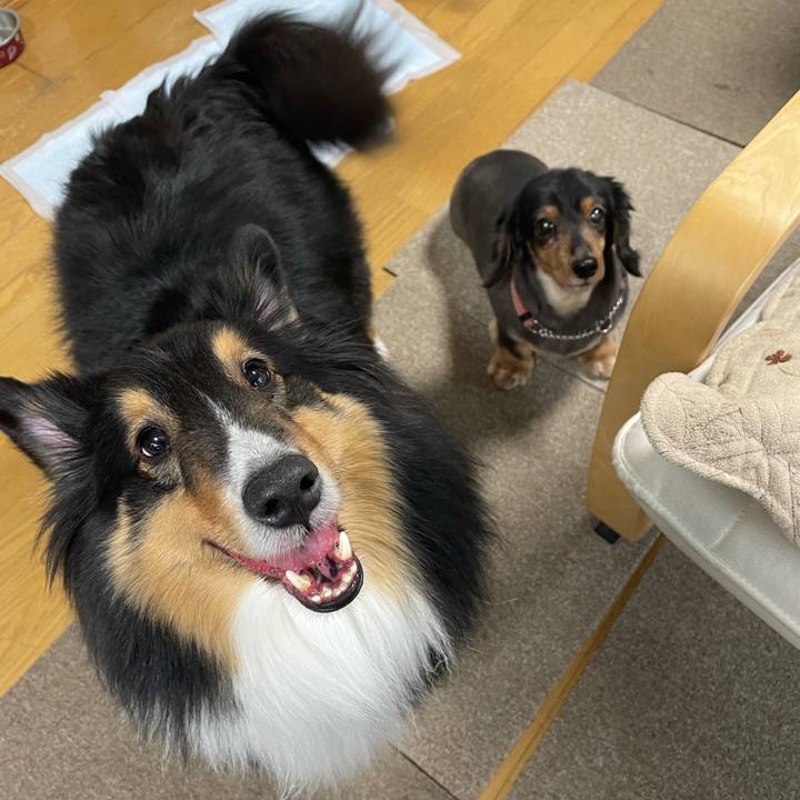 8757b9b3 0dbe 49dc 8f9e f0da87048c8c 1616018809185