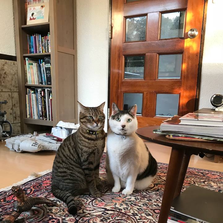 8757c2c5 762b 4d34 a01d 1dad74f50ab0 1511593966894