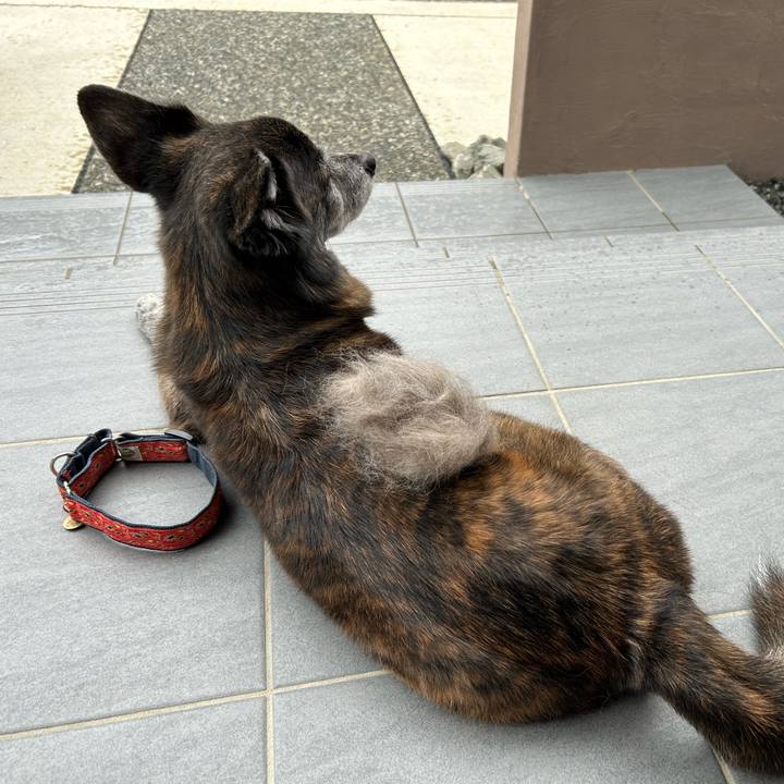 875810c2 661b 46ad 8ebc db01831a5f7f 1714469647907