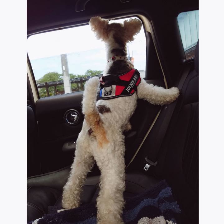 87582689 e757 4d8b a3c8 d4f707ed43dd 1556851078747