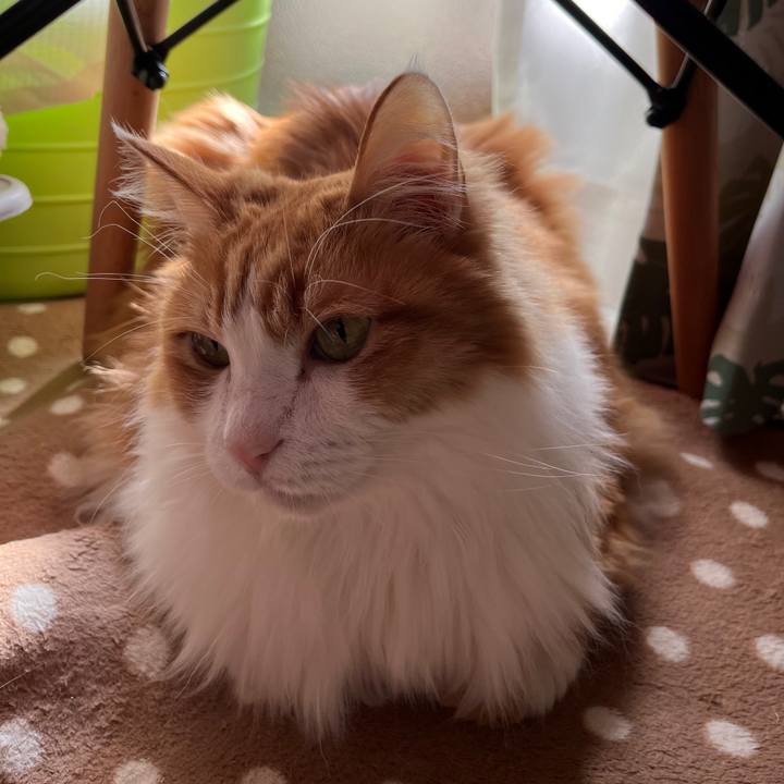 87582b37 49f2 4487 9c64 0f678be4f968 1641799457273