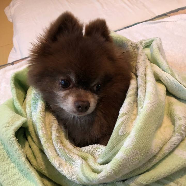 87587e80 6ab0 48d2 b13f 111ccbb3b7f8 1589868954859