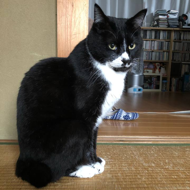 875898d1 3fdc 4da2 a693 64173cf842c4 1652412296904