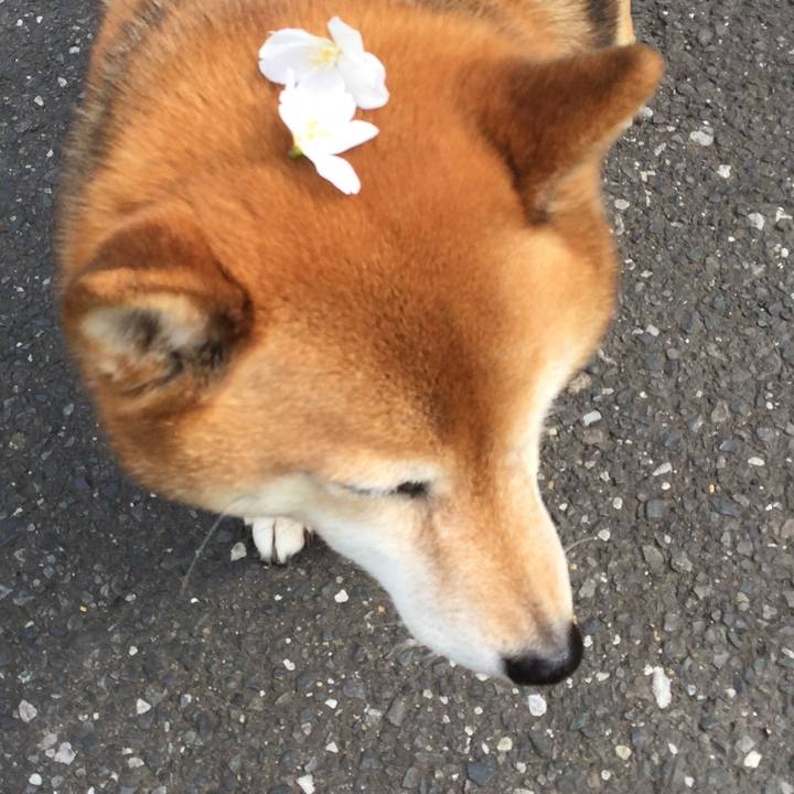 87589ea0 5ee1 4a89 a3eb 1fc004bd32ee 1584937901492