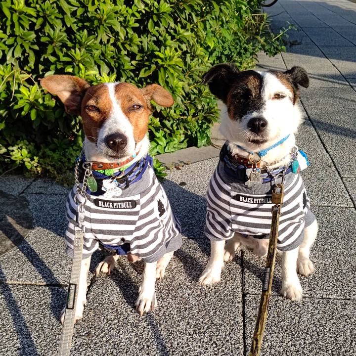 8758d0f2 0403 4ec1 bcce 00c2498e189f 1632176940904