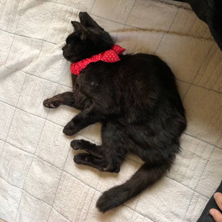 8758fe4d 724a 4d8d 9e85 2aa261769695 1558431501822