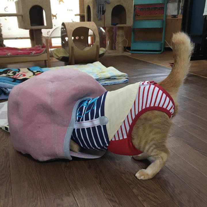 8759261f 0337 49ca 80bc 650fad588519 1595742983536