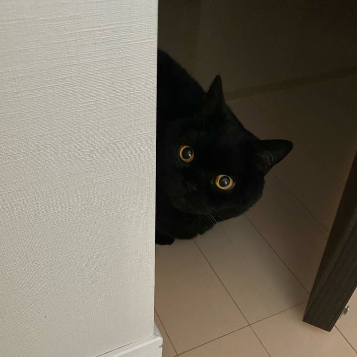 87594d47 684e 4f81 9194 dfb6d02b3f3e 1745411945294