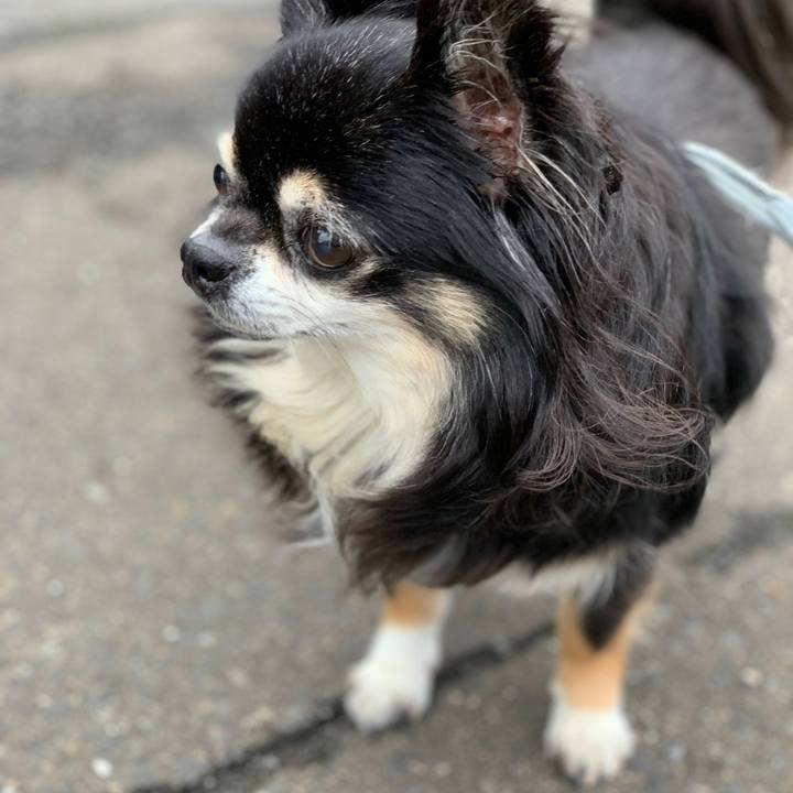 875966a4 51c1 4780 8c19 ef3bb58fe7e5 1562404183624