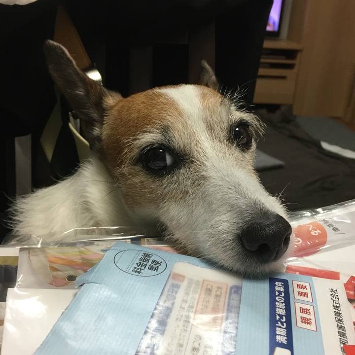 8759748f b19f 4286 9146 7db314725e12 1640215575233