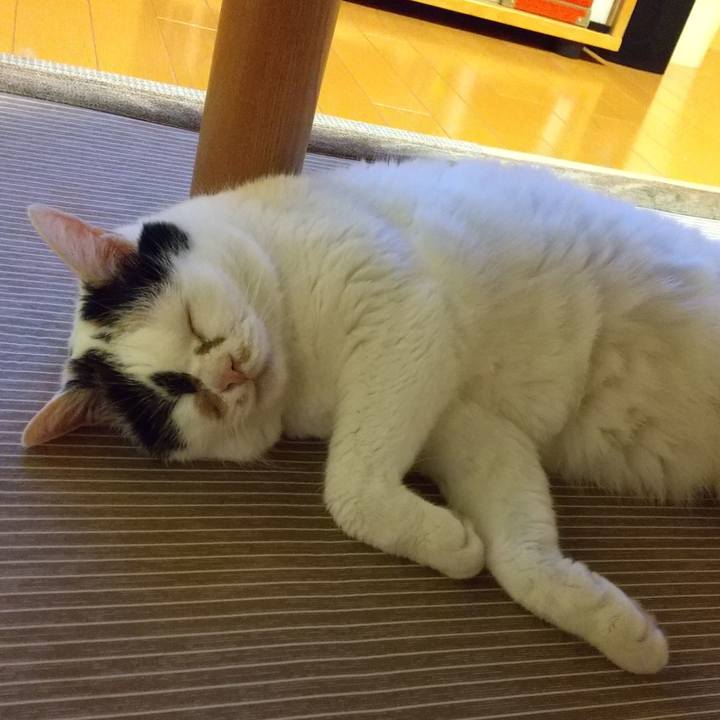 87597e94 80db 474b 9692 94c5c5220613 1598705135076