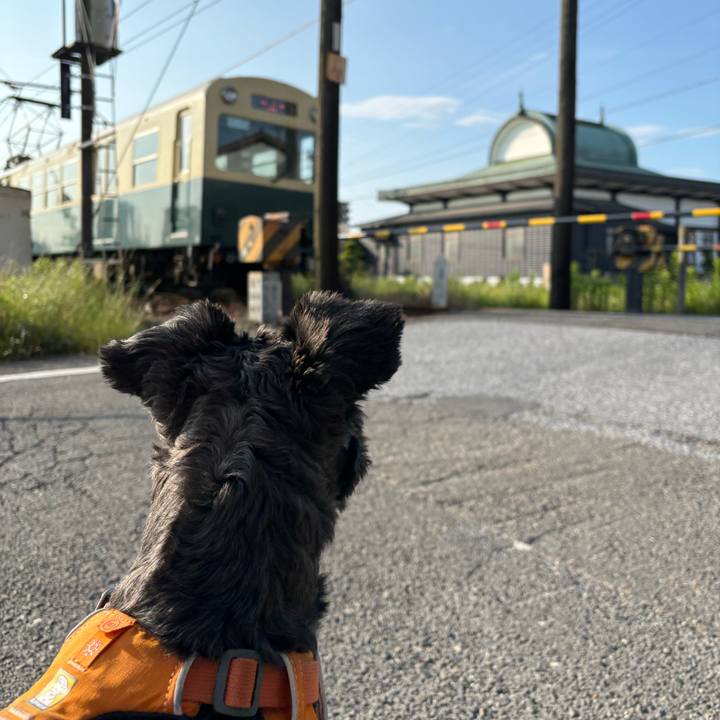 8759c1d7 bc29 4c67 bdae 678fa81e6fd0 1748729777480