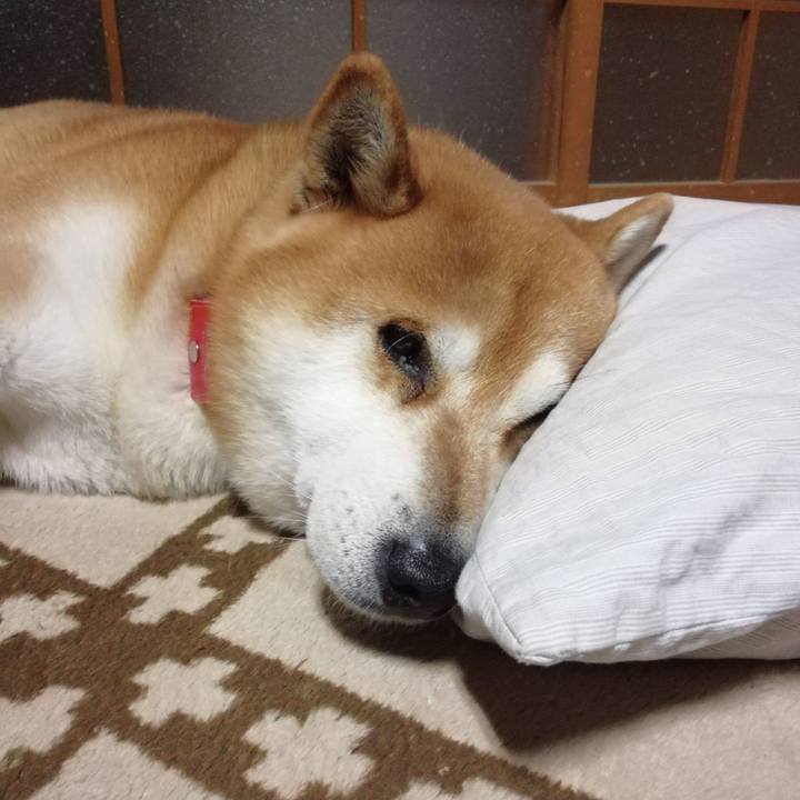 875a0c37 7121 4d76 9aa5 df9dcb9f02be 1641110998935