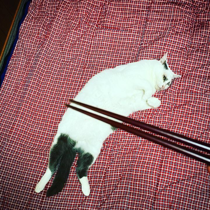 875a22df 831a 4ba7 bbb6 61c2fad58b42 1626614152499