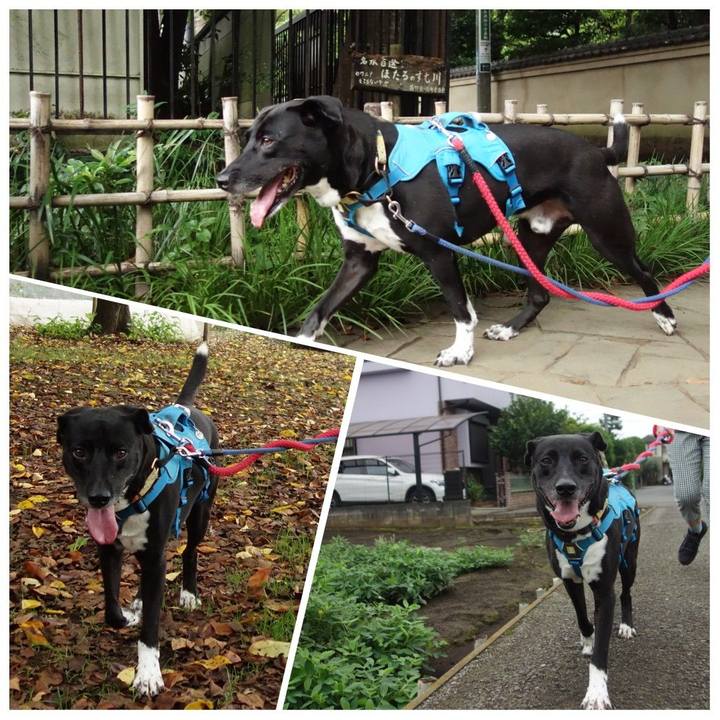 875a8128 0b51 4279 adab 582998ef6903 1631406273574