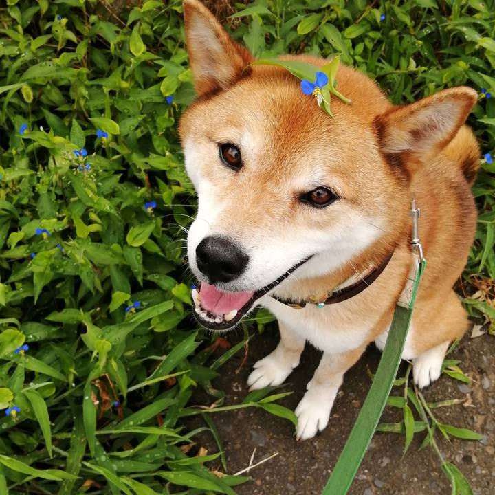 875ab697 977c 4046 9115 555c71da319d 1627691172502