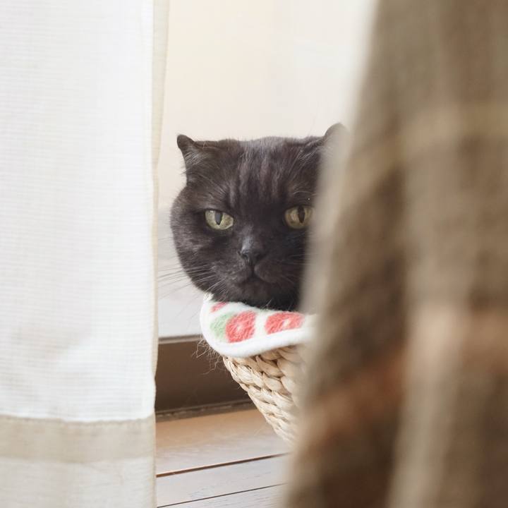 875ad1d4 0343 4c40 a4d2 60b65f105194 1603239983087