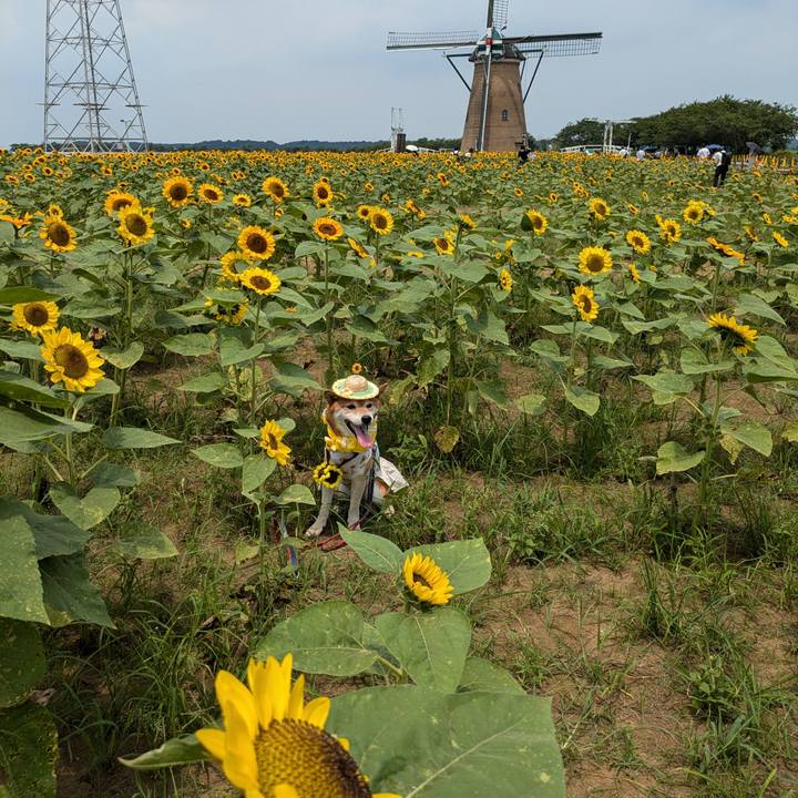 875ae01d 187a 450f 8e5b 911f4aaafef3 1720602758493