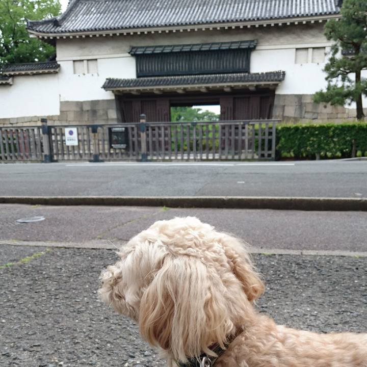 875ae2a5 f9b5 43dd 8076 0d21cf8c4559 1558252166952