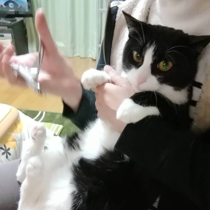 875ae888 7574 43c2 8665 85749db31587 1554944317913