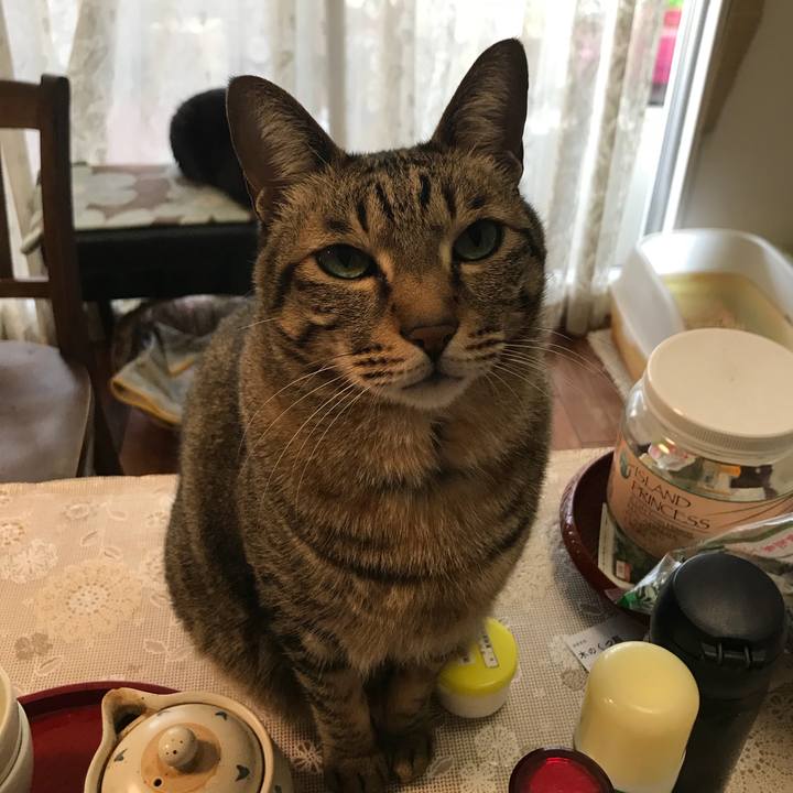 875b0c3b de48 4bee ba6e 0fa44f108b36 1520821772640