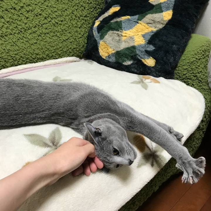 875b55b9 e3ee 4f4a b76e 78fef6705d67 1511881943835