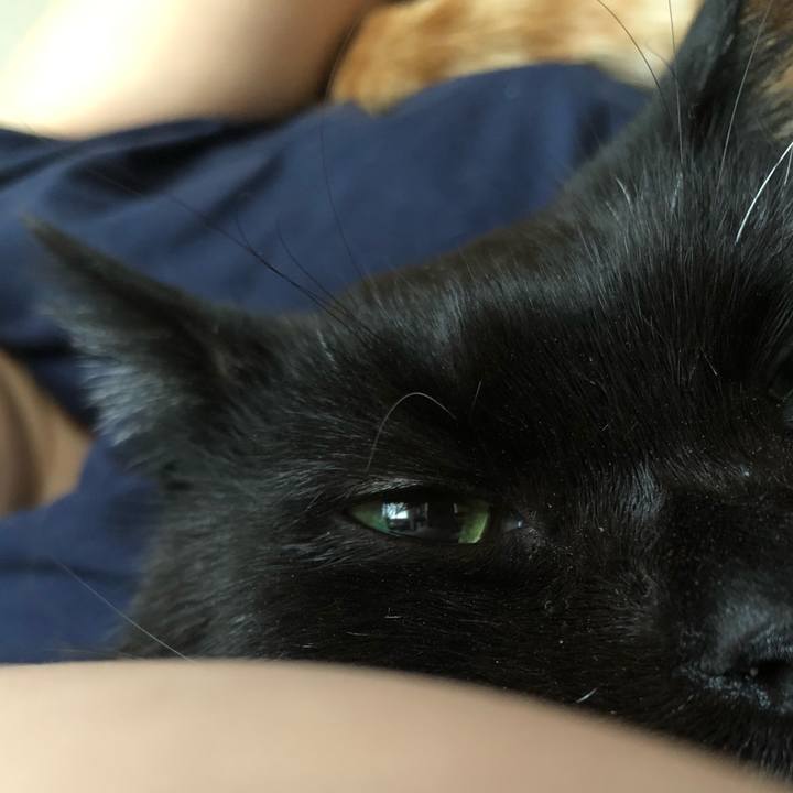 875b6cce 524d 456d b99c e2ef4261d3ec 1637362385443