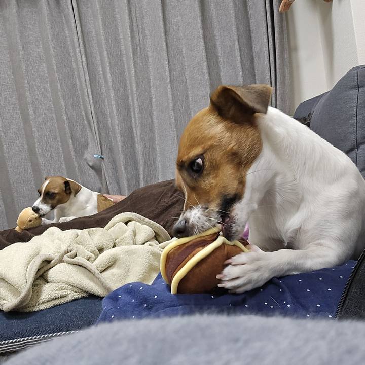 875b8660 e1df 452a 9816 40a3318d6938 1762998202034