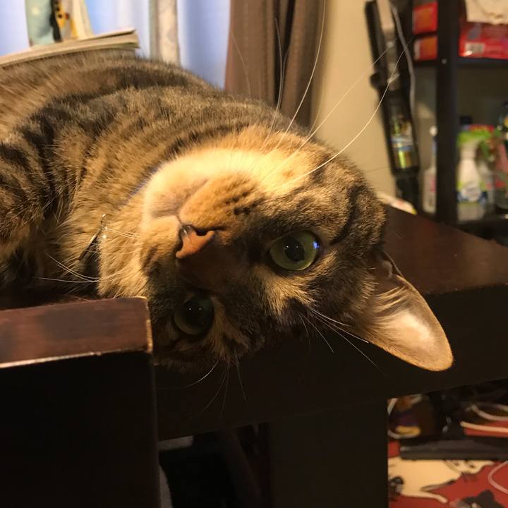 875bb33f 23e8 4545 9fb4 e14e31f865f9 1561988854677