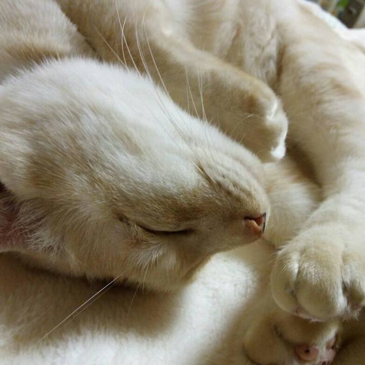 875bb688 d368 4f68 86ef 26b0e9eeda97 1511364861514