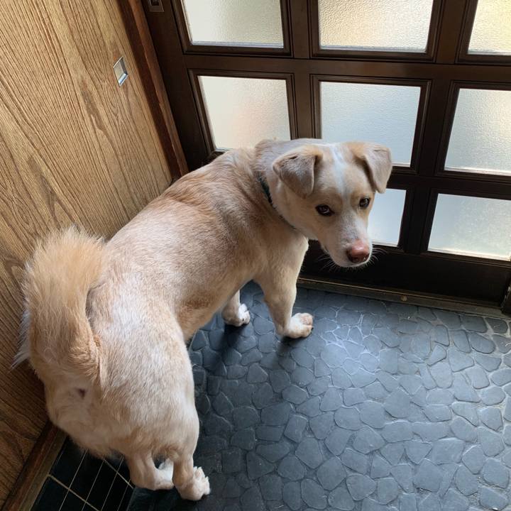 875bc327 7754 45bd 8b74 fd4bc49e0fd9 1556932546897