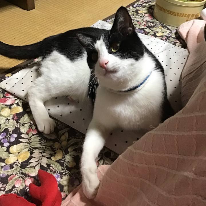 875bc91c 9185 493e ab1e 9bff786c9962 1682859273289