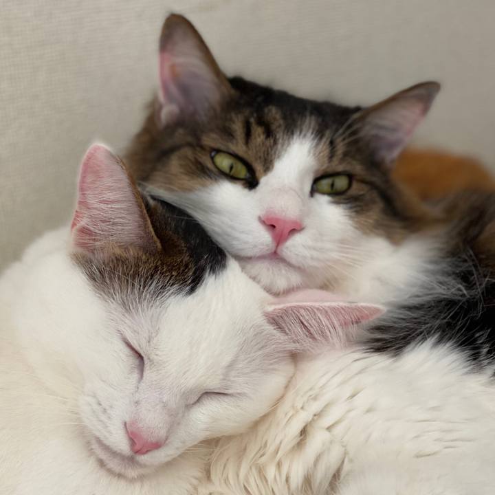 875be63d 225a 4e28 bc47 eefc49c01788 1580524294801