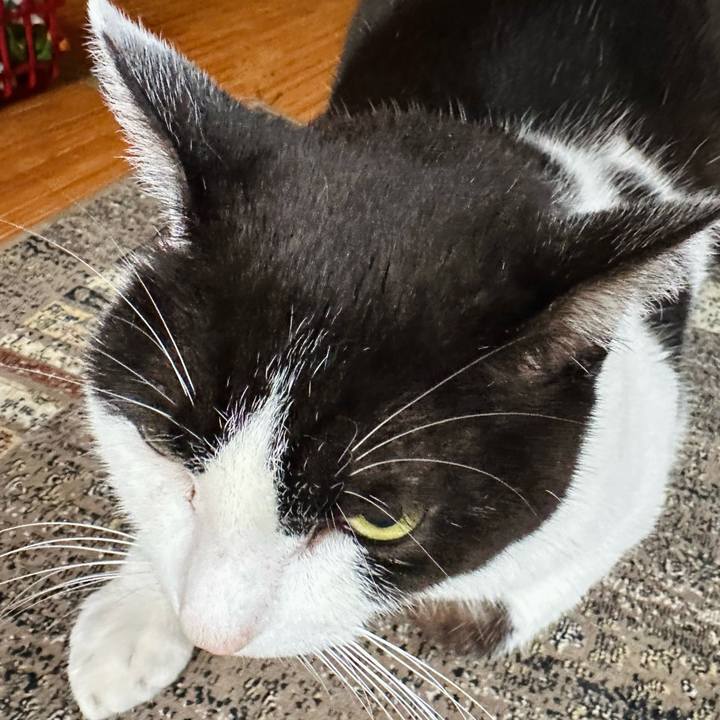 875c2742 7f63 4da0 8fe6 2ba9206b128d 1714784967581