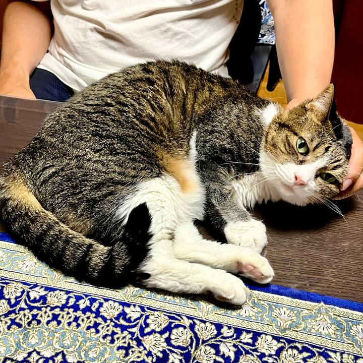 875c285f 3741 47f0 9546 a9cedb9188ba 1753094544792