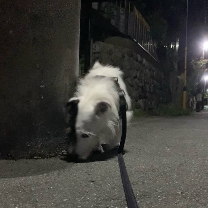 875c3c50 9807 4d06 97c9 c8de896852a6 1694437862026