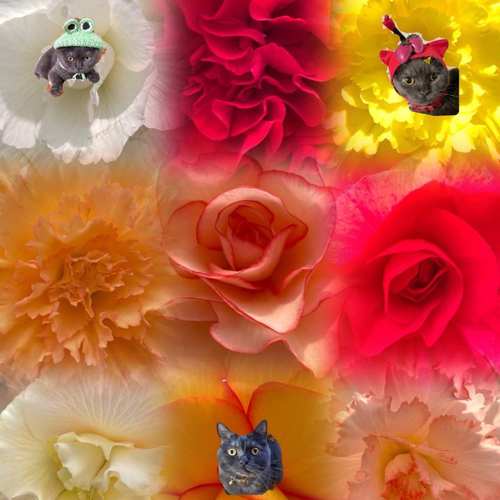 875c4f87 543d 4034 80c0 fbd01565abba 1719052922001